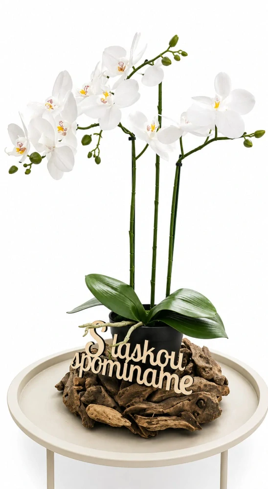Orchidea s dreveným vencom