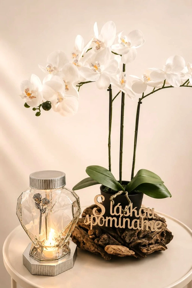 Orchidea s dreveným vencom